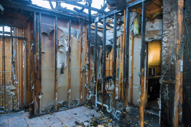 Professional Fire Damage Removal technician working in Springfield, NJ