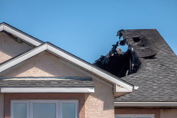 Top rated local Fire Damage Removal specialists in Springfield, NJ